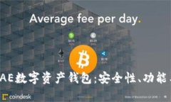 全面解析DAE数字资产钱包