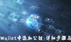 如何在TPWallet中添加公链：详细步骤与注意事项