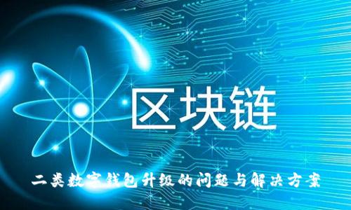 二类数字钱包升级的问题与解决方案