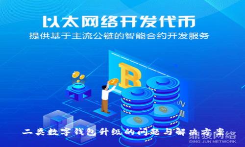 二类数字钱包升级的问题与解决方案
