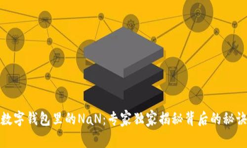 数字钱包里的NaN：专家独家揭秘背后的秘诀
