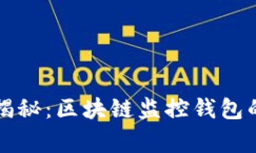 专家独家揭秘：区块链监控钱包的秘密秘诀