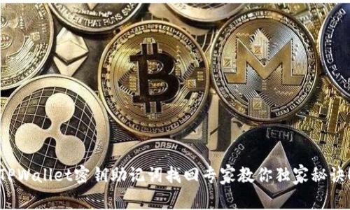 TPWallet密钥助记词找回专家教你独家秘诀！