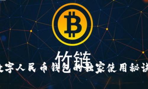 专家揭秘：数字人民币钱包的独家使用秘诀与风险分析
