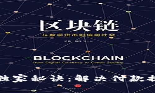数字钱包付款专家独家秘诀：解决付款提示出错的终极指南