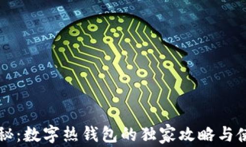 
专家揭秘：数字热钱包的独家攻略与使用秘诀