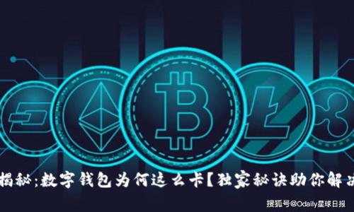 专家揭秘：数字钱包为何这么卡？独家秘诀助你解决问题