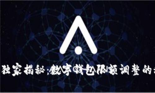 专家独家揭秘：数字钱包限额调整的秘诀！