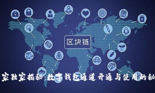 专家独家揭秘：数字钱包通道开通与使用的秘诀