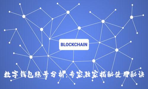 数字钱包账号分析：专家独家揭秘使用秘诀