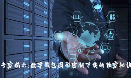 专家揭示：数字钱包图形密钥下载的独家秘诀