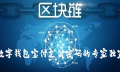 揭秘数字钱包宝付支付密码的专家独家秘诀