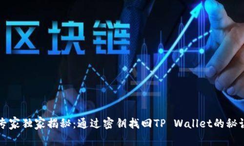 专家独家揭秘：通过密钥找回TP Wallet的秘诀