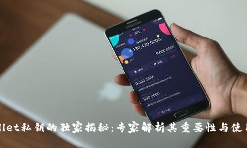 TPWallet私钥的独家揭秘：专家解析其重要性与使用秘诀