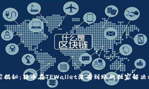 专家揭秘：猪币在TPWallet没有到账的独家解决秘诀