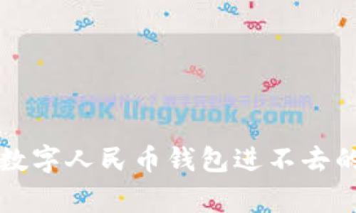 专家揭秘：数字人民币钱包进不去的独家秘诀！