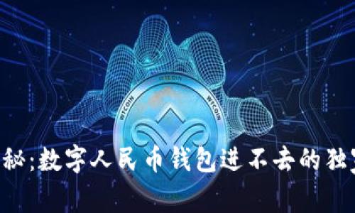 专家揭秘：数字人民币钱包进不去的独家秘诀！