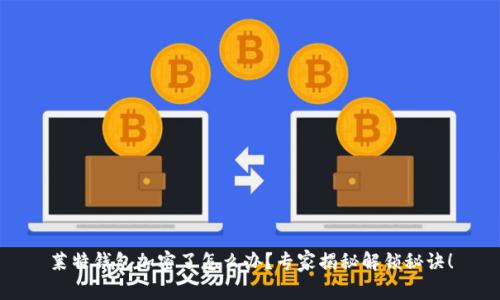 莱特钱包加密了怎么办？专家揭秘解锁秘诀！