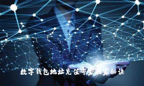 数字钱包地址充值专家独家秘诀