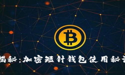 专家独家揭秘：加密短针钱包使用秘诀图解教程