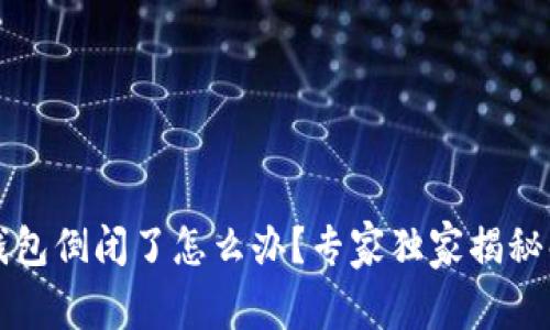 区块链钱包倒闭了怎么办？专家独家揭秘解决秘诀