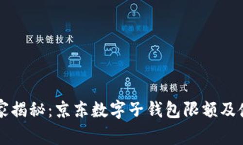 专家独家揭秘：京东数字子钱包限额及使用秘诀