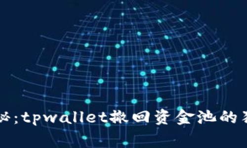 专家揭秘：tpwallet撤回资金池的独家秘诀