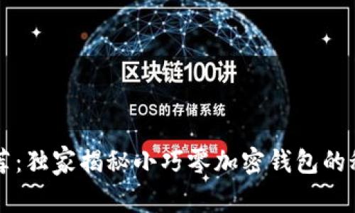 专家推荐：独家揭秘小巧零加密钱包的秘密秘诀