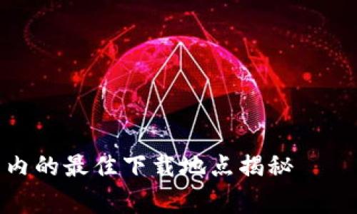 数字钱包在国内的最佳下载地点揭秘——专家独家秘诀