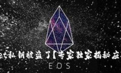 tpwallet私钥被盗了？专家独家揭秘应对秘诀！