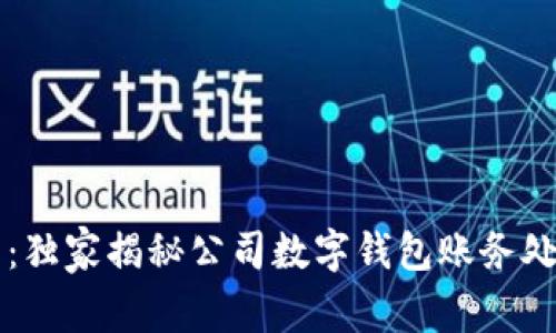 专家分享：独家揭秘公司数字钱包账务处理的秘诀