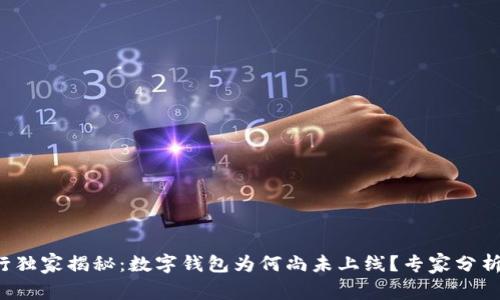 招商银行独家揭秘：数字钱包为何尚未上线？专家分析全解密！