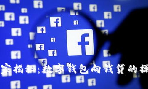 专家独家揭秘：数字钱包向钱贷的操作秘诀