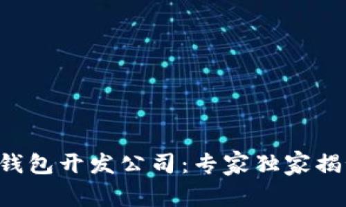 南宁区块链钱包开发公司：专家独家揭秘成功秘笈！