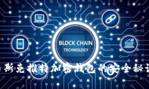 专家解读：马斯克推特加密钱包的安全秘诀，独家分析！