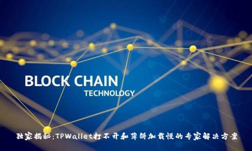 独家揭秘：TPWallet打不开和薄饼加载慢的专家解决方案