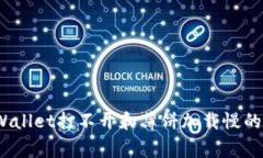 独家揭秘：TPWallet打不开和薄饼加载慢的专家解决