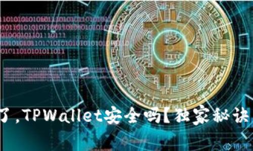 专家揭秘：手机掉了，TPWallet安全吗？独家秘诀了解加密钱包保护