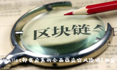 专家解读：TPWallet卸载后真的会面临盗窃风险吗？独家秘诀告诉你!