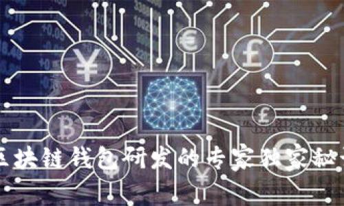 区块链钱包研发的专家独家秘诀