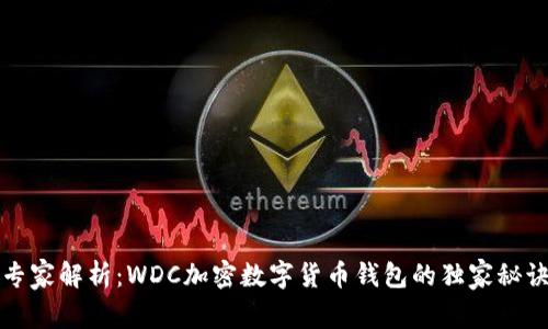 专家解析：WDC加密数字货币钱包的独家秘诀