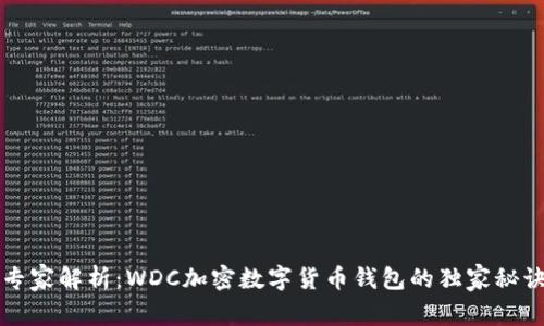 专家解析：WDC加密数字货币钱包的独家秘诀