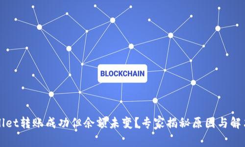 TPWallet转账成功但余额未变？专家揭秘原因与解决秘诀