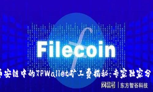 币安链中的TPWallet矿工费揭秘：专家独家分享