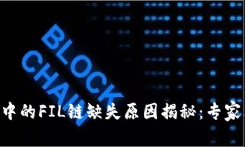 TPWallet中的FIL链缺失原因揭秘：专家独家揭秘！
