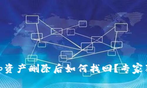 TPWallet App资产删除后如何找回？专家独家秘诀揭秘！