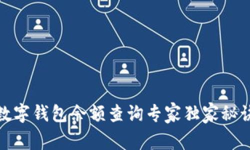 数字钱包余额查询专家独家秘诀