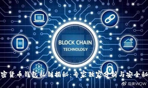 加密货币钱包私钥揭秘：专家独家分析与安全秘诀