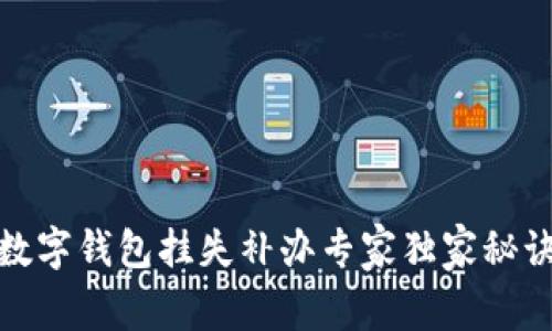 数字钱包挂失补办专家独家秘诀