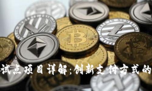 数字钱包试点项目详解：创新支付方式的未来趋势